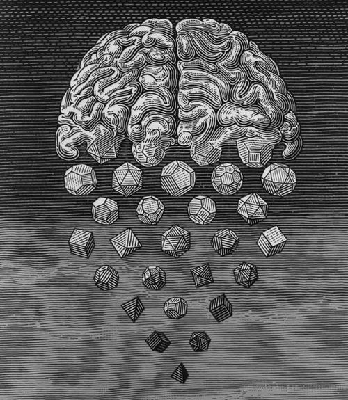La granja de los genes