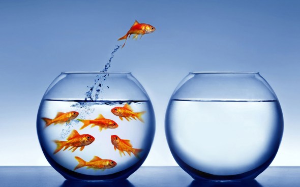 Emigrar hacia la montaña